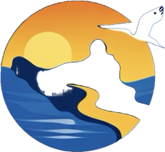 Upper Nile Today logo